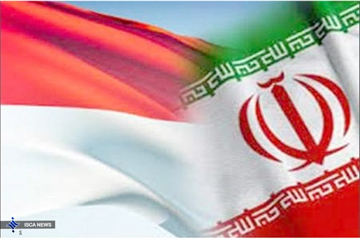 اندونزی خواستار توسعه همکاری های نفت و گاز با ایران است