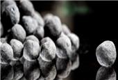اوراق سلف موازی آهن اسفنجی در بورس کالا منتشر می‌شود