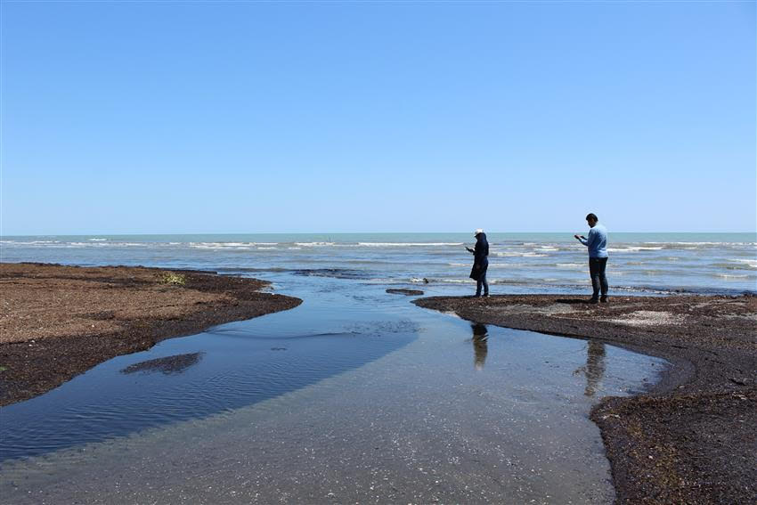 بررسی ۳۰۰ کیلومتر از سواحل استان گیلان در راستای طرح تحول زمین‌شناسی دریایی