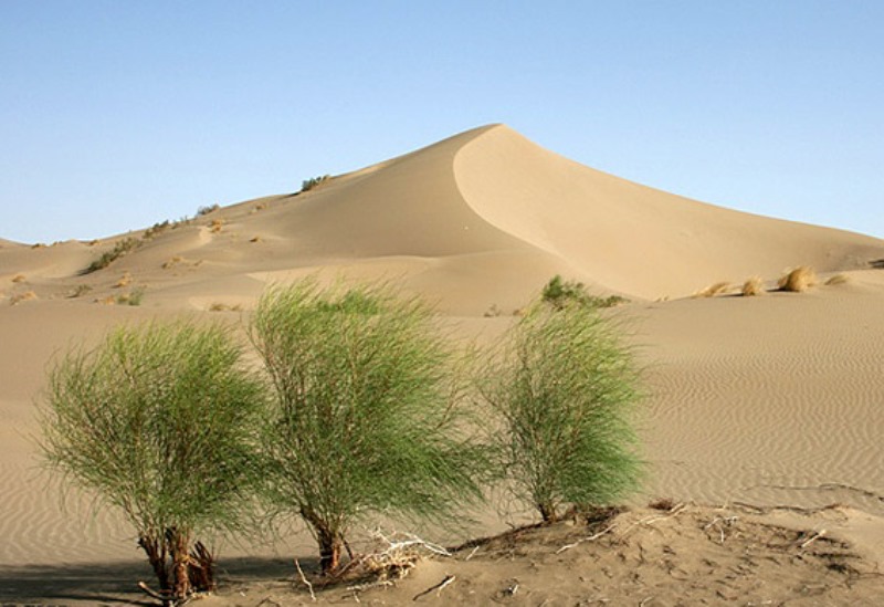 آلودگي معادن کمتر از صنعت نيست