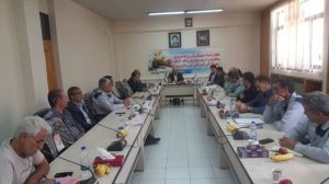 پيربکران به سوي چند محصولي شدن گام بردارد