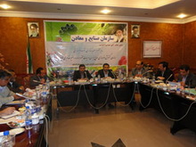 سهم صنعت در استان گلستان شش درصد است