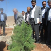 هفت هزار هکتار فضاي سبز در شهرکها ونواحي صنعتي ايجاد شد