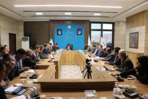 دعوت ایمیدرو از سرمایه‌گذاران برای حضور در فراخوان اکتشافی کشور