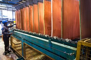 درخشش فملی در ۵ ماهه ۱۴۰۴؛ رشد ۳۸ درصدی درآمد عملیاتی