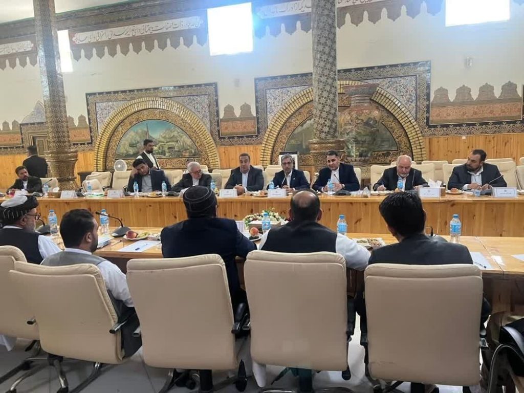 آمادگی ایران برای سرمایه‌گذاری در معادن سنگ آهن افغانستان