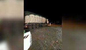 گزارش الاخبار از استخراج غیرقانونی طلا و معادن یمن توسط امارات