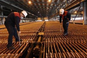 رشد ۵۰ درصدی فروش فملی در نیمه نخست سال ۱۴۰۴