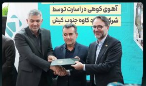 فولاد کاوه نجات بخش آهوی کوهی